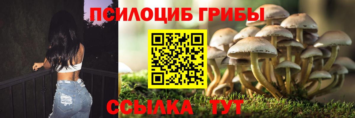 Псилоцибиновые грибы ЛСД  Псилоцибиновые грибы Cubensis  Вход с VPN  сколько стоит  Биробиджан 